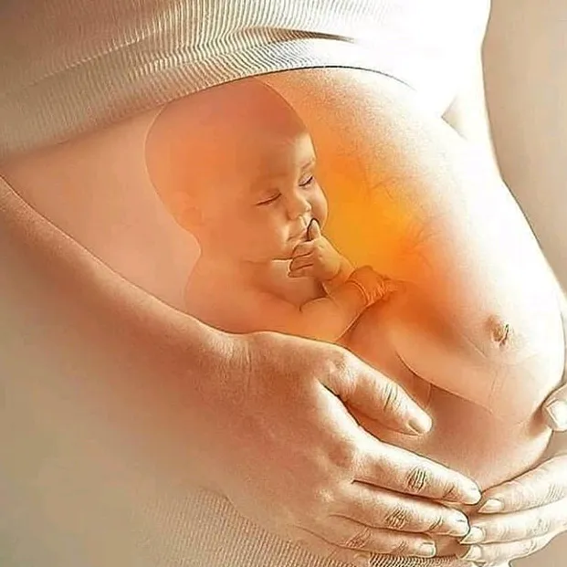 @pregnancytipsdaily