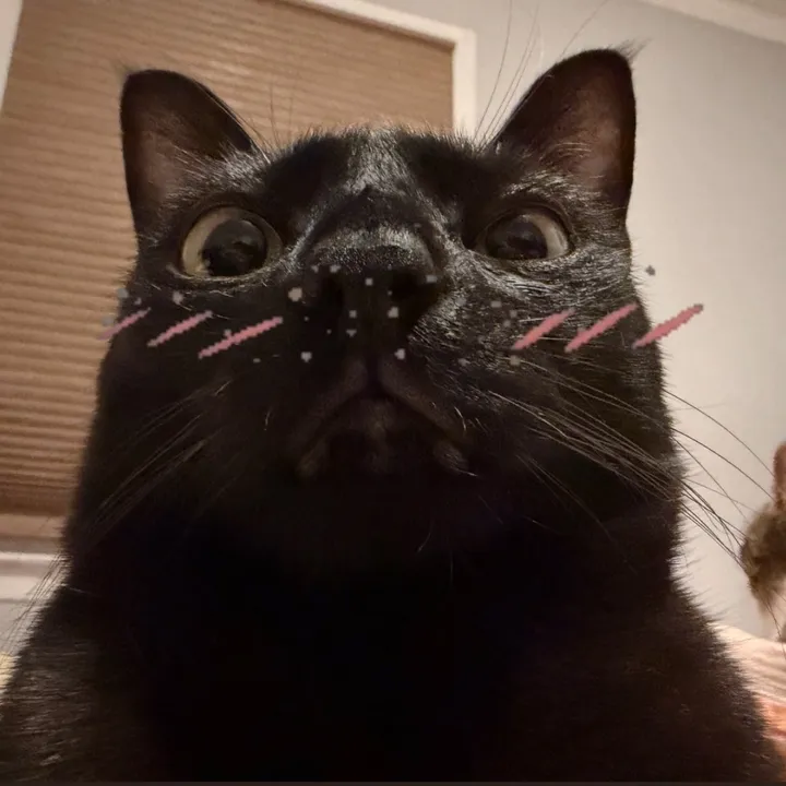 isaqell4