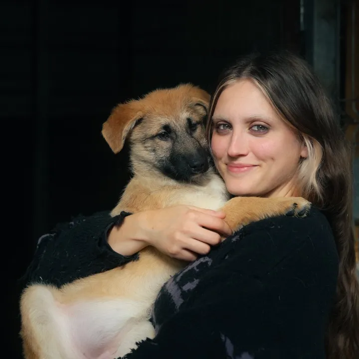 @ameliathedogtrainer