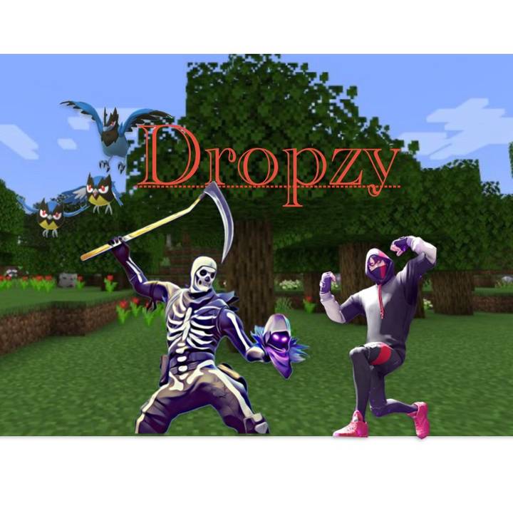 dropzy24