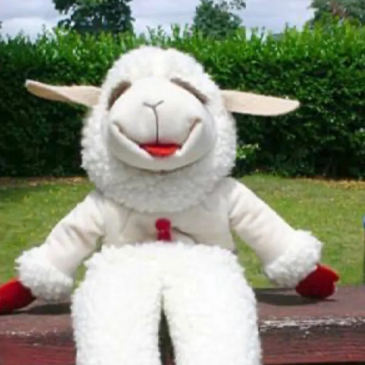 @lamb_chopsuey
