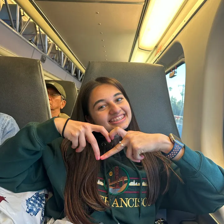 @anshuchapagain
