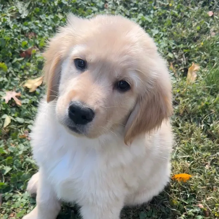 barry_barkington