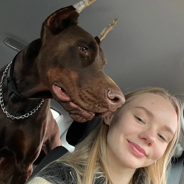 @doberberkut