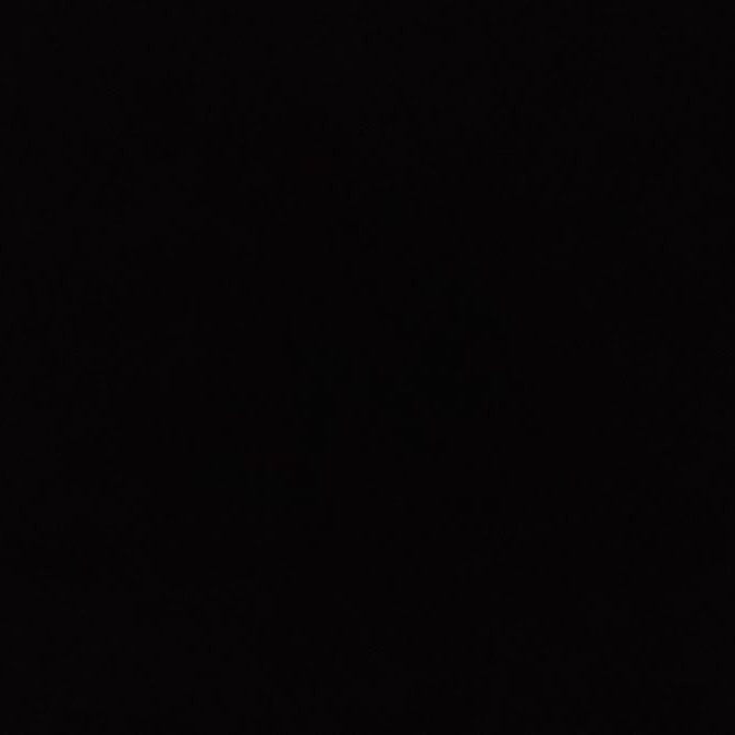 chanel122334
