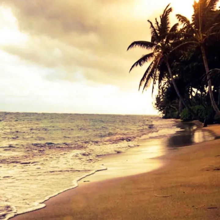 native_hawaii