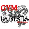 gym.labestia18