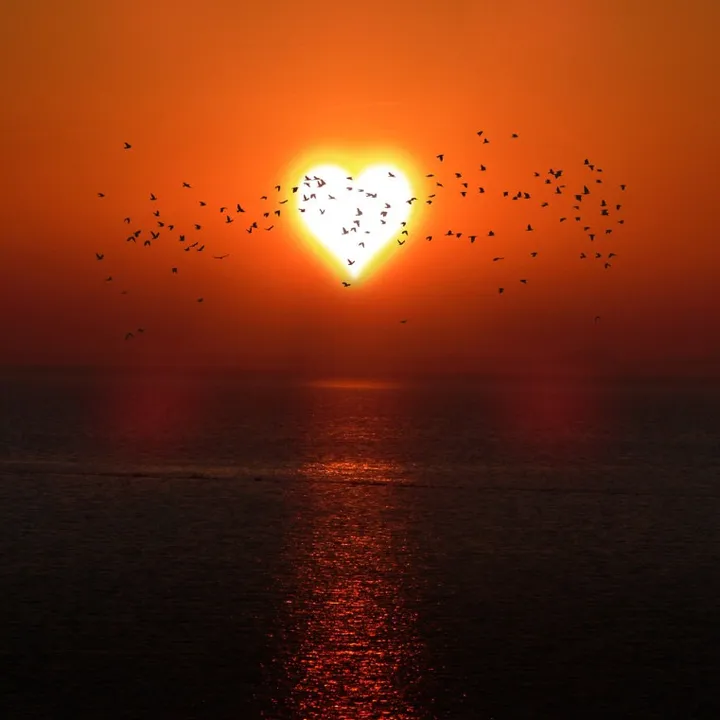 sunset68688