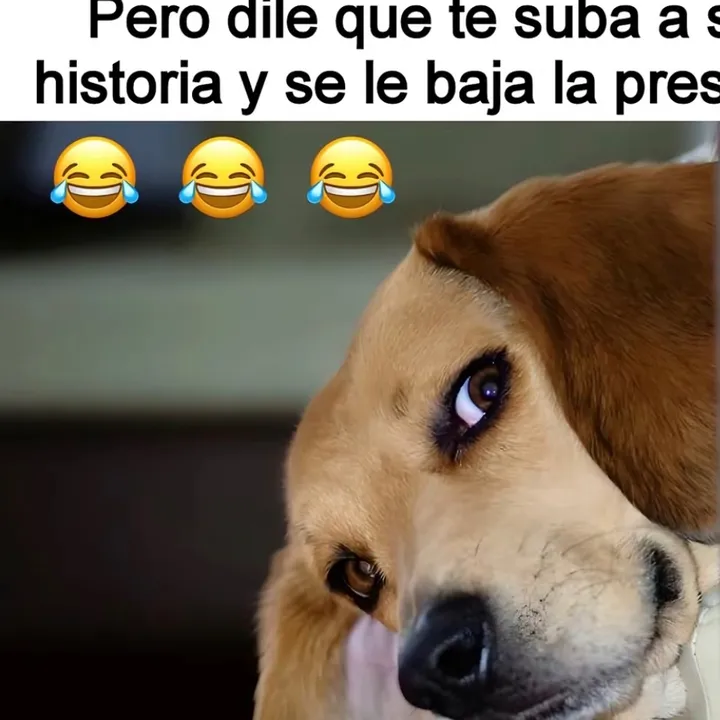 eldalinejitodecorazon