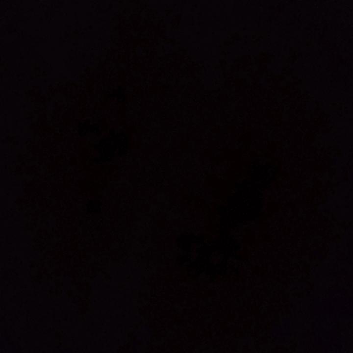. - suara asli