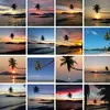 5goldenpalms