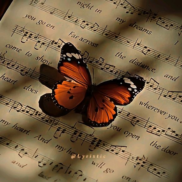 ˙.◌˚𝐋𝐲𝐫𝐢𝐱𝐭𝐢𝐜🦋.• - original sound