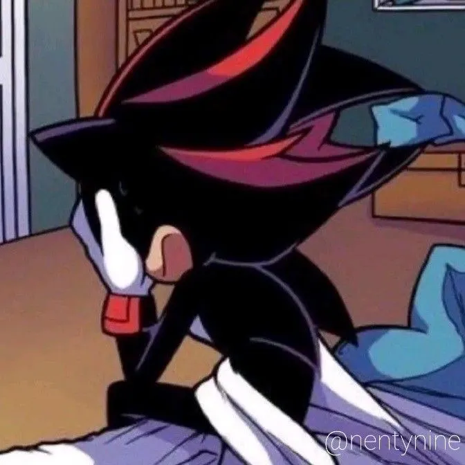 shadowthehedgehogloverr