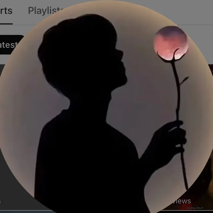 @interesting_videos_02