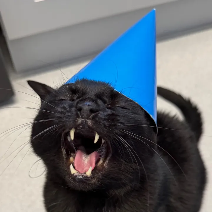 @teefie_tribe