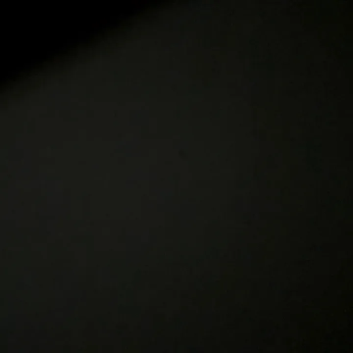@ytfrankylive