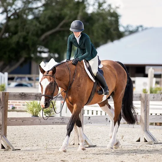.ktm.equestrian