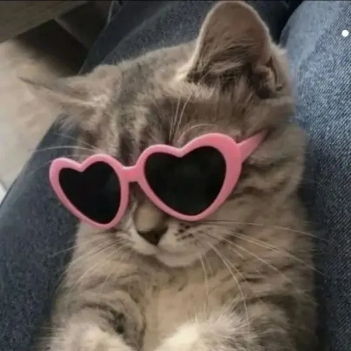 poppylollypop254