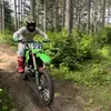 tylerjamespeterson