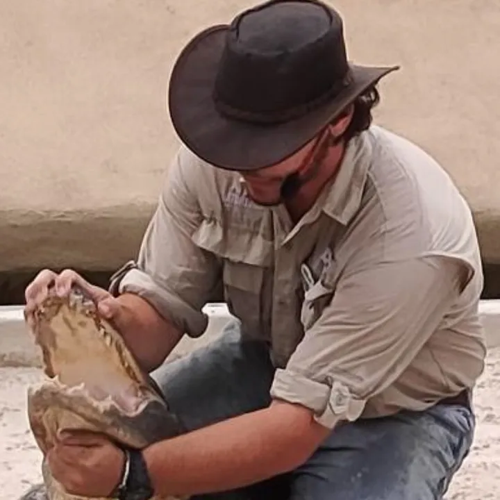 d_gatorboy
