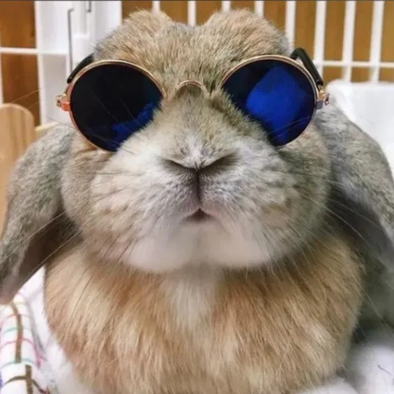@tiere_kennenlernen
