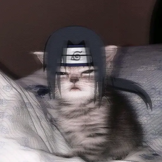 ^-^_Ameri_^-^ - original sound - ._.countryhumansedits