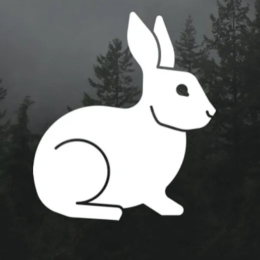 @rabbit_hole_addicts