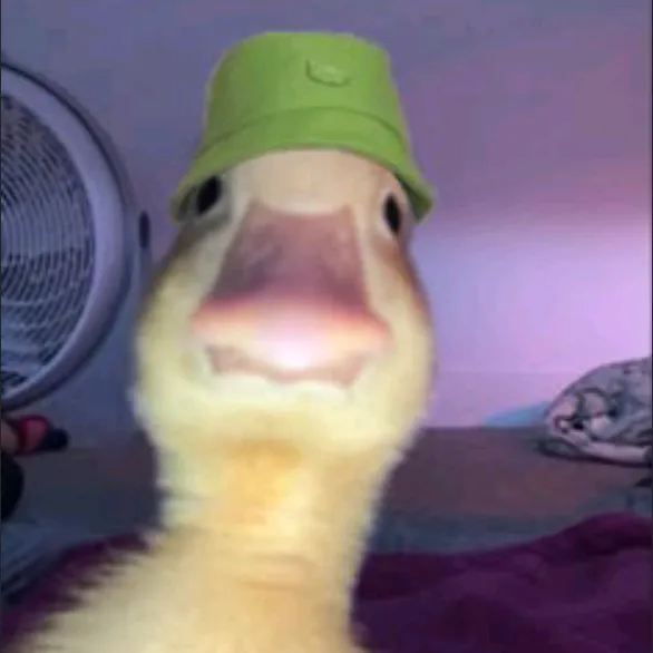 @mattedits11