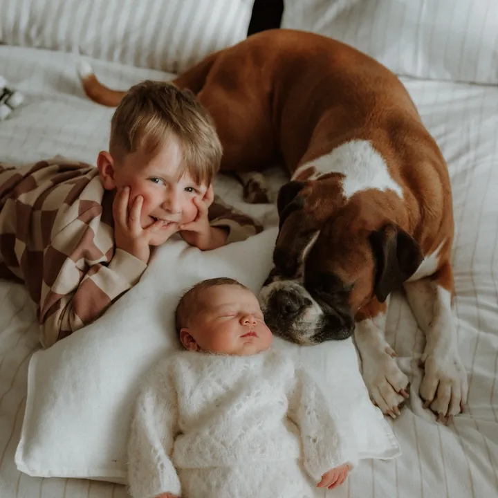 @babyarthurandboxerbruno