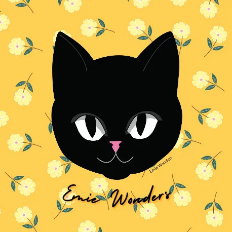 @emiewonders.shop