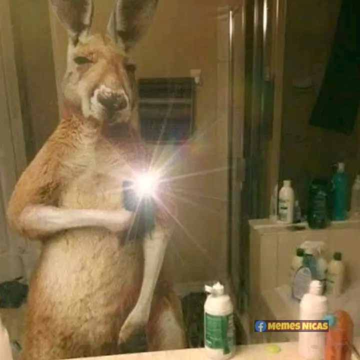 @obedf19