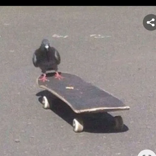 @patinetos_del_barrio_uwu