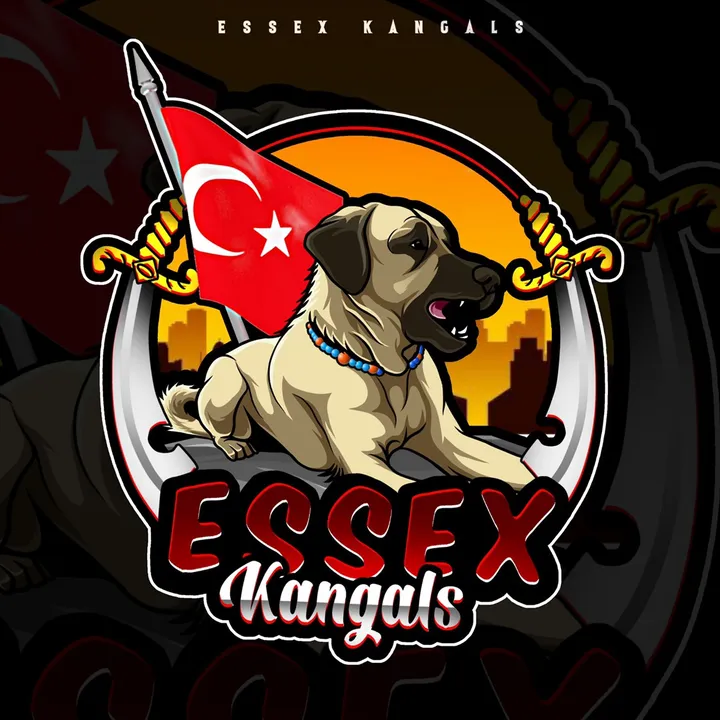 @essexkangals
