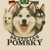 brazilian.pomsky