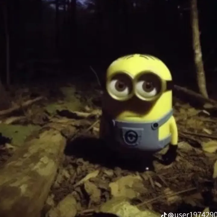 @nidh0e