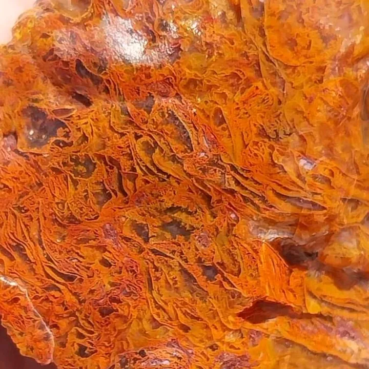@stonedrockhound23