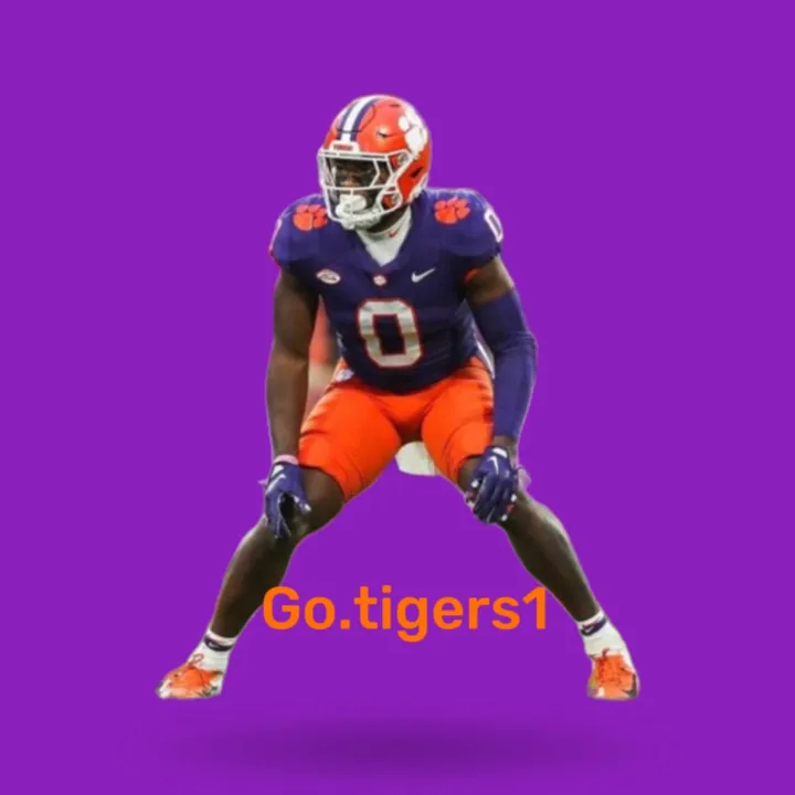 @go.tigers1
