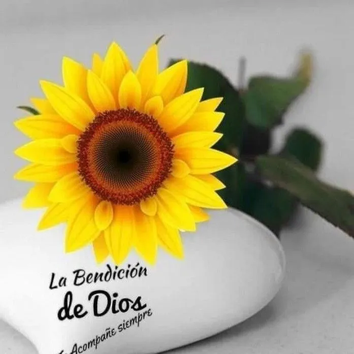 @familiaarvizu