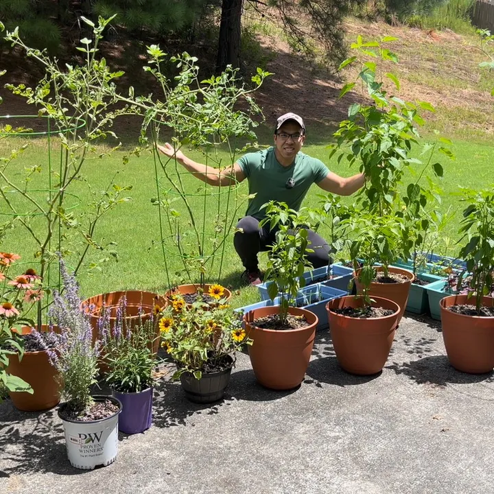 @buff.gardener