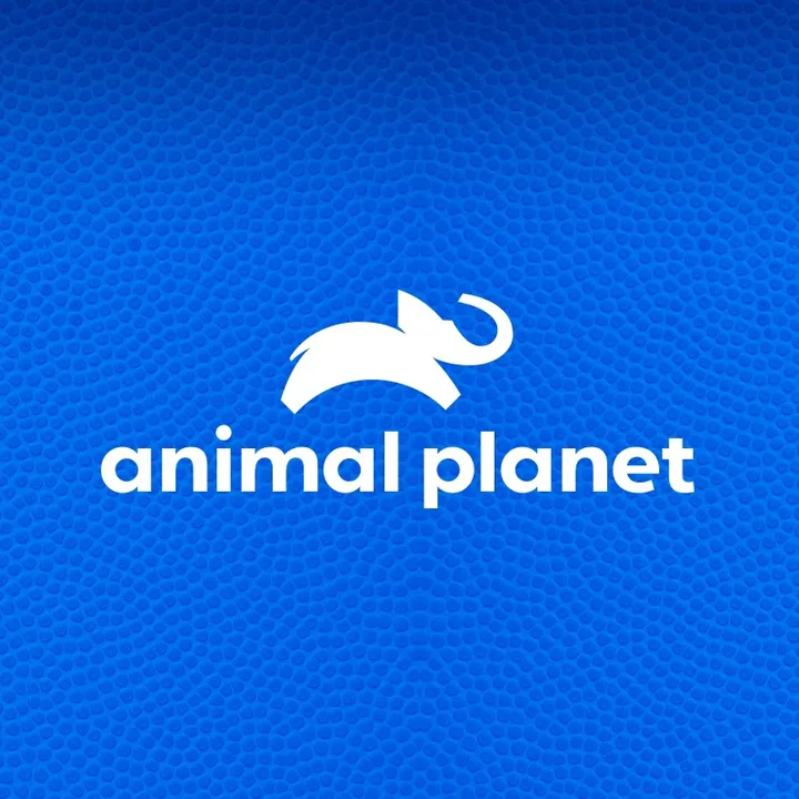 animalplanet