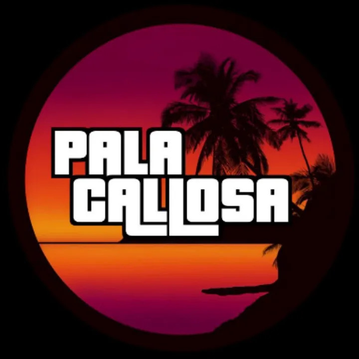 @palacallosaofficial