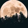thrillerstories8