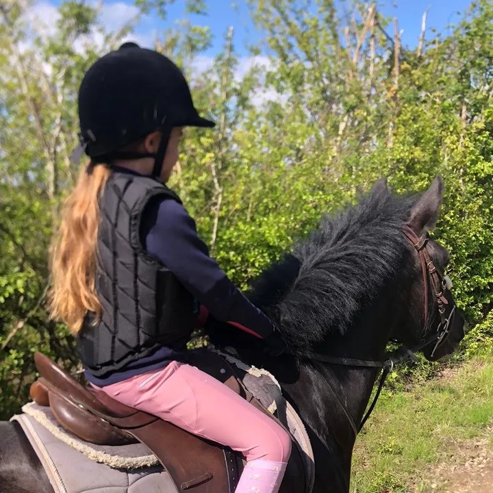 lottievlogs_horses
