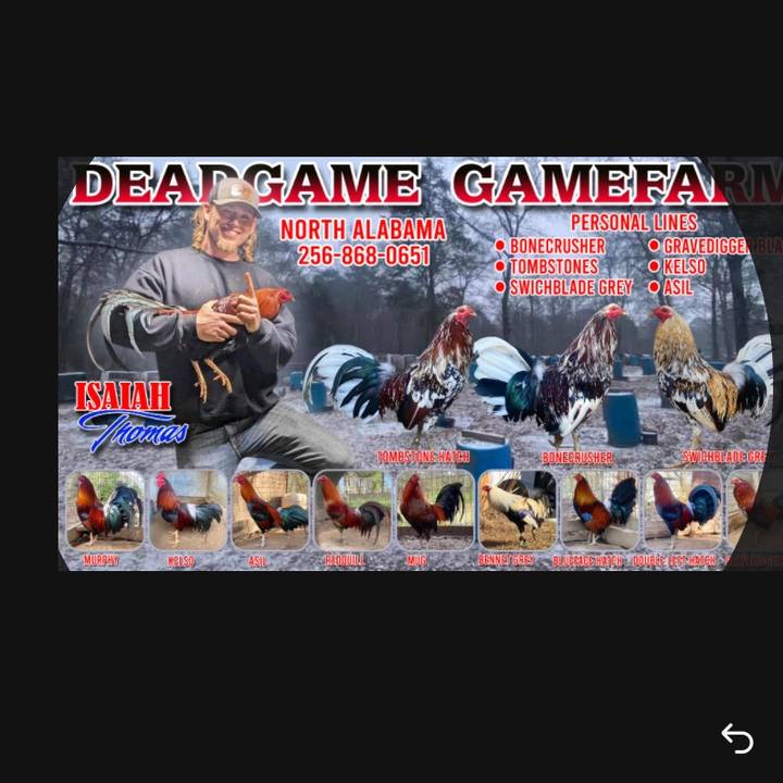 deadgame.gamefarm