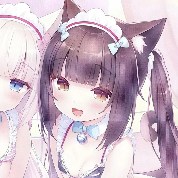 isla.exe