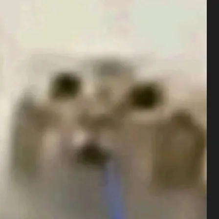 @zakki__4