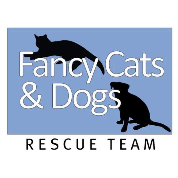 fancycatsrescue