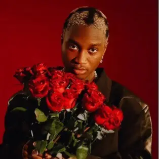 💐🐅 - TML vibez