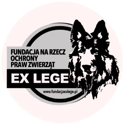 @fundacja.exlege
