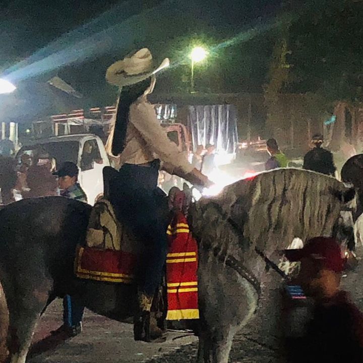 paolasequeira28